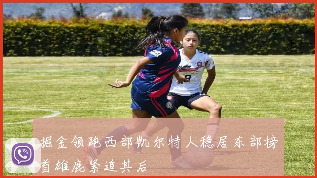 掘金领跑西部凯尔特人稳居东部榜首雄鹿紧追其后