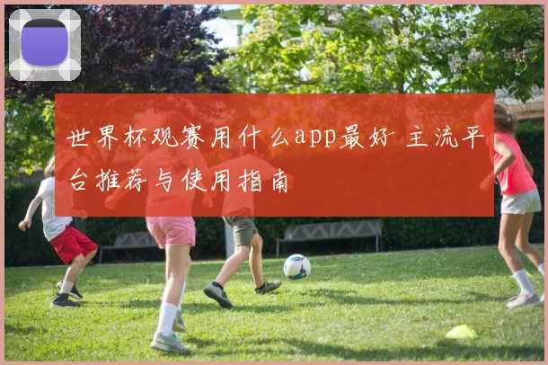世界杯观赛用什么app最好 主流平台推荐与使用指南